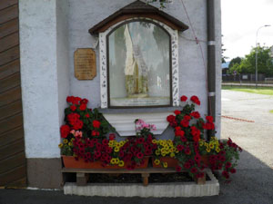 Blumenschmuck am Vereinsgelände