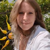 Brigitte Ammerer